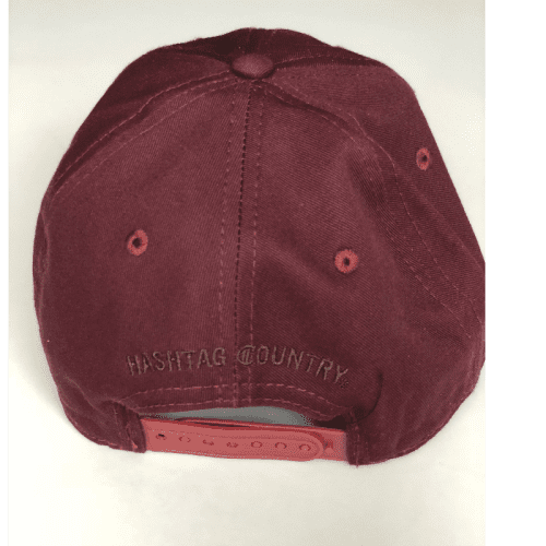 HClowprofilecircleleatherpatchhatmaroonback