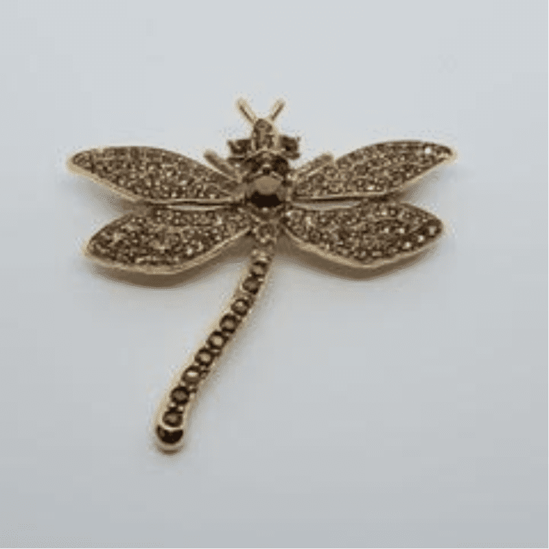 MODragonflypin